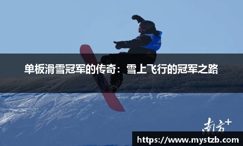体育公司